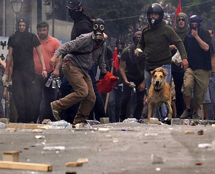 Protestarea câinilor de câine din Grecia