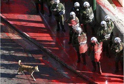 Protestarea câinilor de câine din Grecia