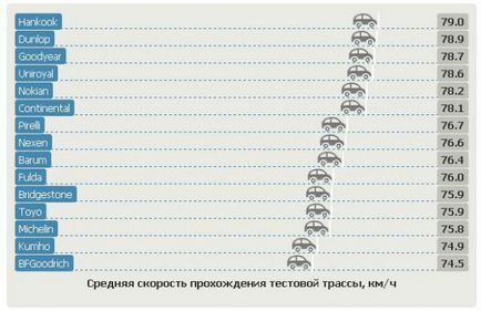 П'ятнадцять кращих літніх шин по тестах в Німеччині - правила водіння і поради по догляду за