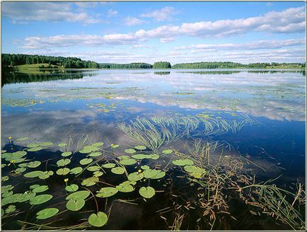 Ракурс в різних видах фотозйомки (самовчитель)