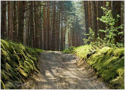 Ракурс в різних видах фотозйомки (самовчитель)