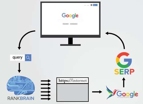 Rankbrain - ce este și de ce aveți nevoie de google