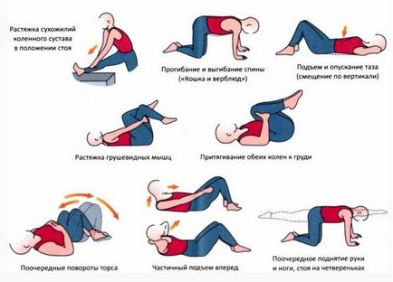 Înapoi Sfaturi de întindere, reguli și modalități de a face exerciții