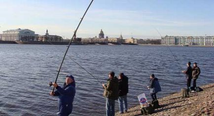 Риболовля на неве, результативний спосіб, рада, прогноз лову риби, акваріумні рибки