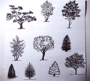 Desenați copacii pentru schițe - aflați cum să desenați
