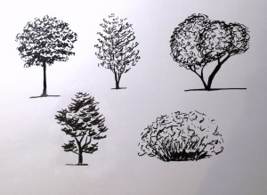 Desenați copacii pentru schițe - aflați cum să desenați