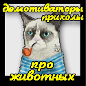 Ржачні демотиватори про тварин - смішні приколи про братів наших менших