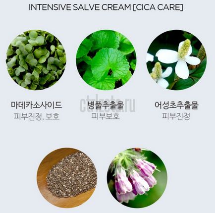 Crema de salvie intensiva scinica centella asiatica