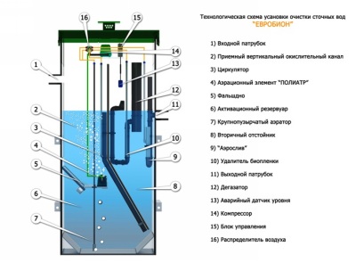 Szeptikus evrobion alapvető jellemzőit és alkalmazási