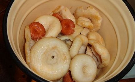 Clatite clatite pentru reteta de iarna, cum sa sare ciuperci crude pentru iarna