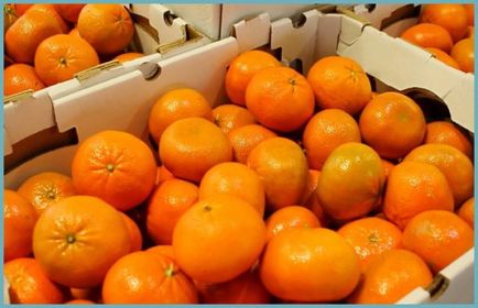 Cât de mult sunt depozitate tangerinele, la ce temperatură și cum să depozitezi tangerinele acasă