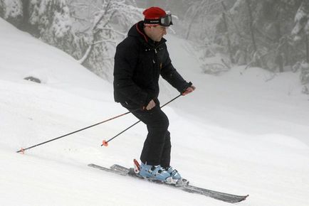 Смішний медведев (фото)