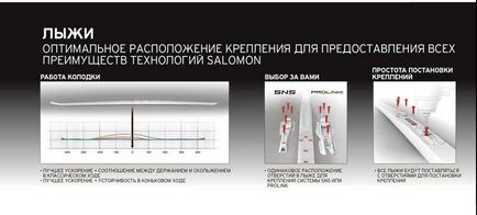 Sns і prolink