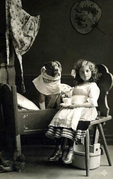 Dog-nurse (18 fotografii)