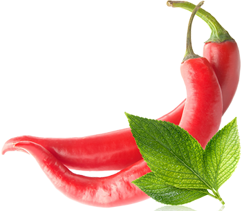 Felmelegedés balzsam piros chili képletű (novolife) (chili) Felmelegedés balzsam piros chili képletű (novolife)