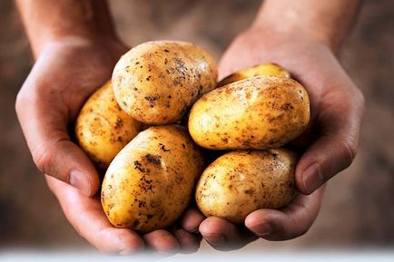 Suc de cartofi proprietăți utile și contraindicații