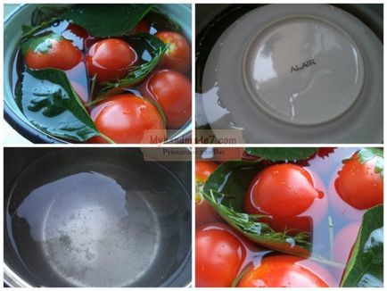 Соління помідорів в банках на зиму золоті рецепти з фото