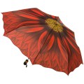 Сучасні парасолі, тростини на будь-який смак від провідних світових виробників - форум спільних покупок