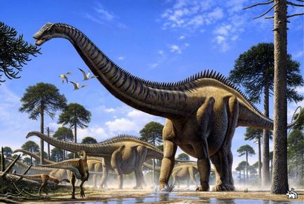 A szerkezet a sauropodák, dinoszauruszok voltak elrendezve, amely, ha