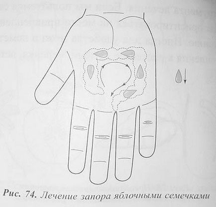 Су-джок семянотерапия по базисним (енергетичним) точкам