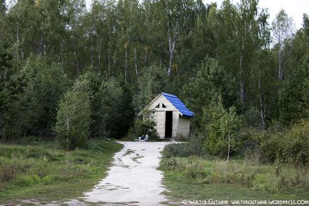 Sf. Primăvară în regiunea Novosibirsk, fotoblog