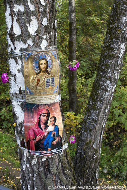 Святе джерело в новосибірської області, фотоблог'