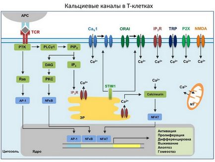 Таблетки від тиску при цукровому діабеті 2 типу, ліки