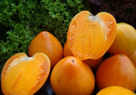 Tomato curmala Descriere, caracteristici, recenzii, fertilizare in sera