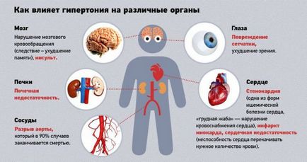 Трави і чаї при гіпертонії і гіпотензії що пити для лікування