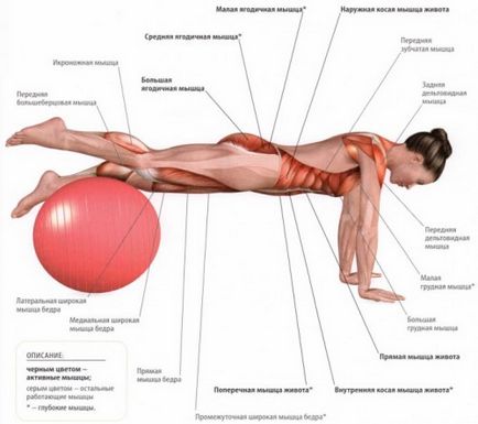 Cureaua de exerciții este o opțiune clasică și alte tipuri