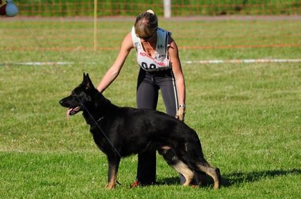 Ural eqidius - Dog Training Center 