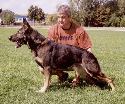 Ural eqidius - Dog Training Center 