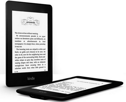 Beállítása a hűvös olvasó Amazon Kindle Paperwhite 2013 bogár jegyzetek bogár jegyzetek