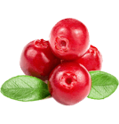 Hidratáló ajakrúzs japán cseresznye tone 10 Natura sibirica (Siberika jellegű), 5 g, rúzs