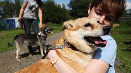 Duma a introdus un proiect de lege privind amenzile pentru excrementele canine