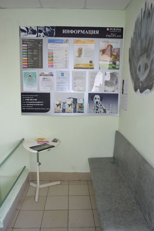 Clinica veterinară - Ranara - recenzie online a orașului Berezovski, regiunea Sverdlovsk