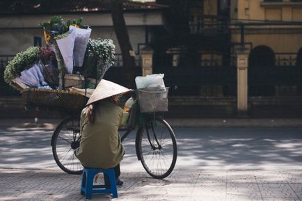 Vietnamezii, ceea ce trebuie să știe despre vietnamezi și cum să nu strică restul în țara lor
