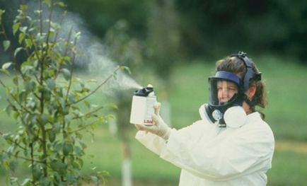 Influența pesticidelor asupra corpului uman și asupra mediului