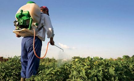 Influența pesticidelor asupra corpului uman și asupra mediului