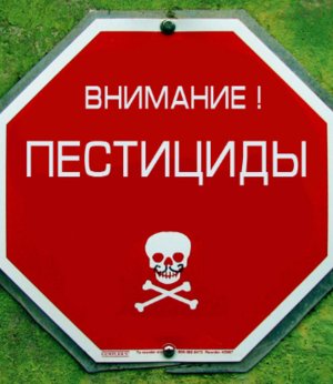 Вплив пестицидів на організм людини і навколишнє середовище