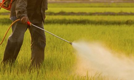 Вплив пестицидів на організм людини і навколишнє середовище