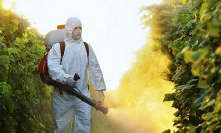 Influența pesticidelor asupra corpului uman și asupra mediului