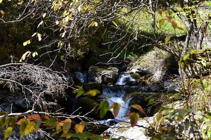 Cascade pe râul Shinok - este un mirage blând, salt dublu și girafă