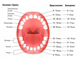 Câte luni au dinții din băieți simptome de apariție