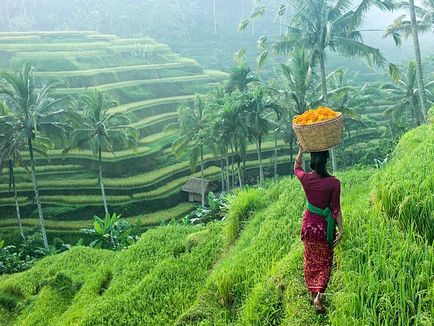 Ez az első alkalom Bali turisztikai memo - idő Bali most - Tippek