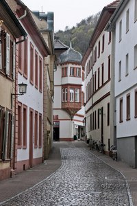 Heidelberg (Heidelberg) (Heidelberg) Heidelberg (Heidelberg)