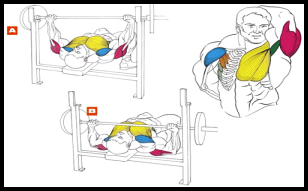 Bench press - sfaturi utile