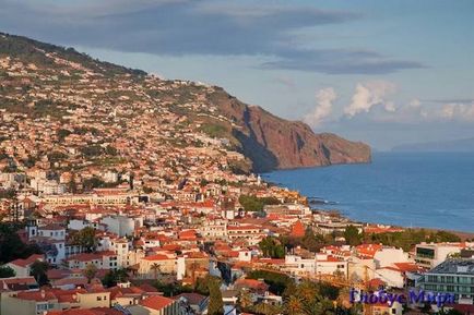 Regiunea autonomă a pădurilor laurete din Madeira, port-santo, port-monish