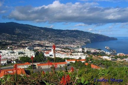 Regiunea autonomă a pădurilor laurete din Madeira, port-santo, port-monish