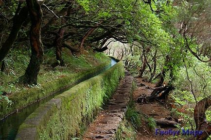 Regiunea autonomă a pădurilor laurete din Madeira, port-santo, port-monish